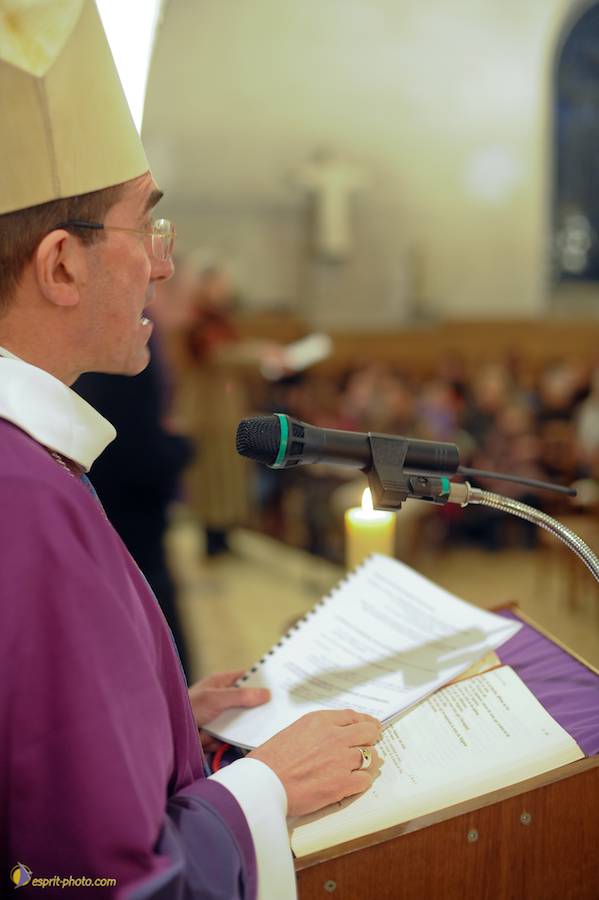 Nom de l'image : D30095012_2_(c)Norbert-JUNG — Description :